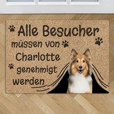 Besuch genehmigt - Individuelle Fußmatte