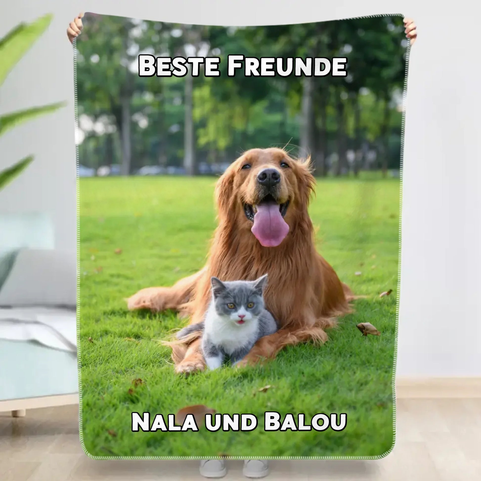 654b4c5e613f0_large.webp