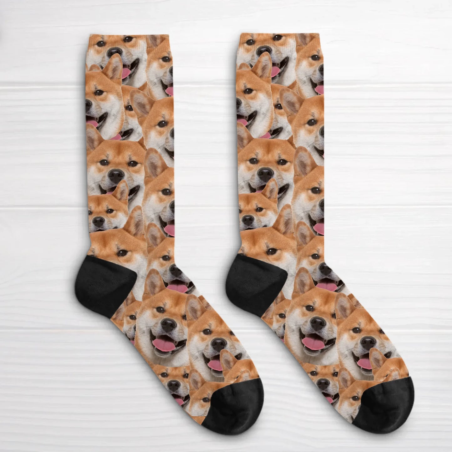 66e7eb2bf3c83_large.webp