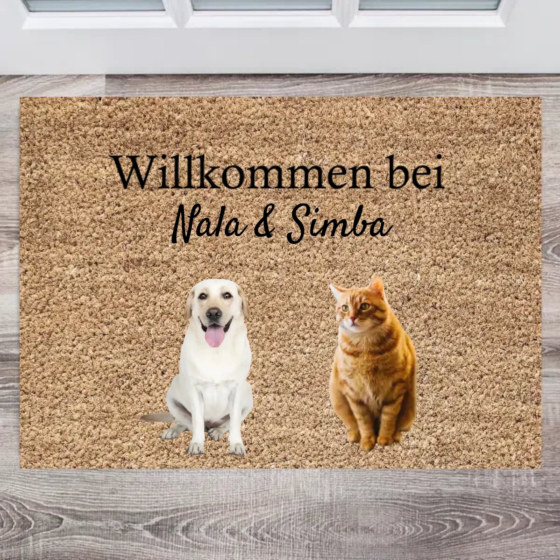 66bb8cd3c8687_large